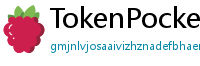 TokenPocket下载速度优化 - 提升下载效率｜国内CDN加速与镜像源推荐